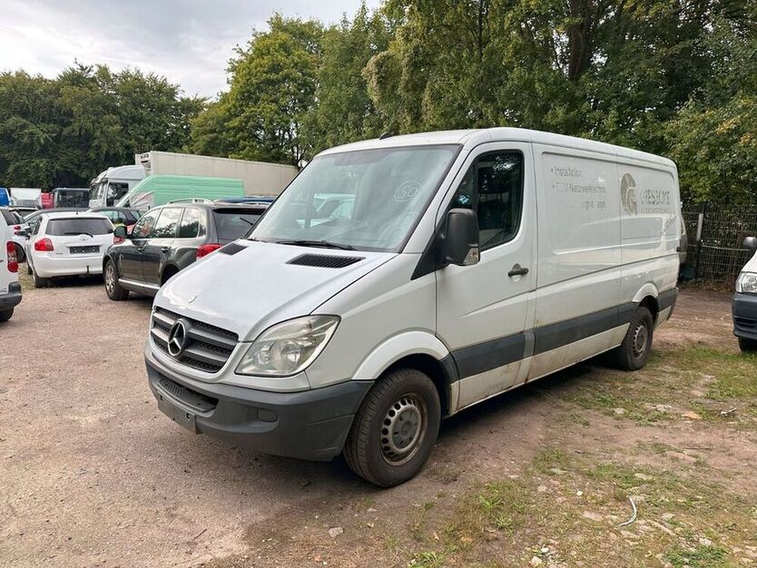 Sprinter
