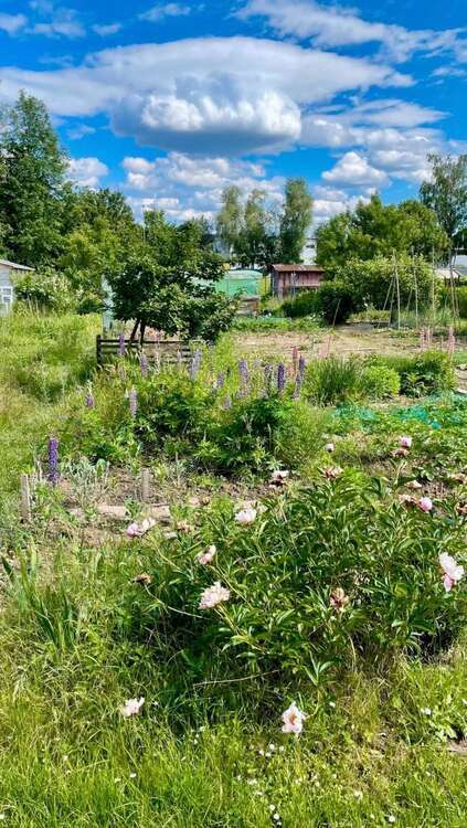 Grundstück zu verkaufen in Frankfurt am Main 17.900 € 129 m² zimmer