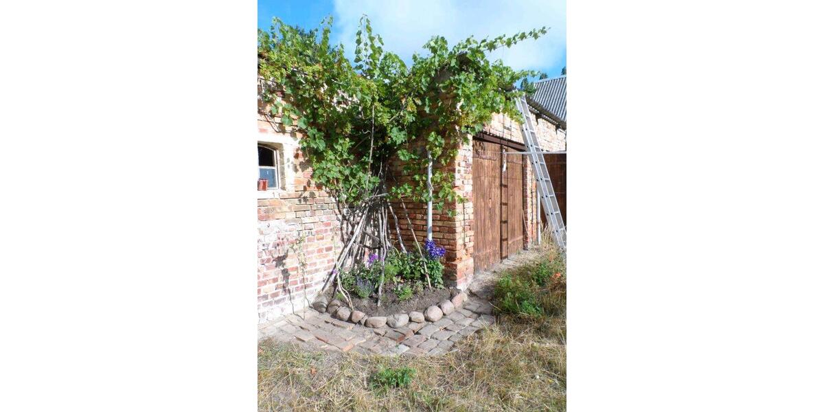 Bauernhaus, Landhaus Ducherow - 4 Zimmer, 100 m&sup2;, 289.000&euro; | Angebot:26722138
