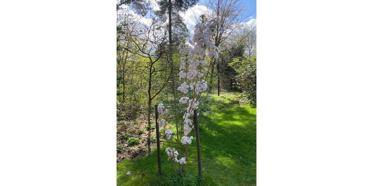 Grundstück Buchholz in der Nordheide Sprötze - 635.000&euro; | Angebot:24113865