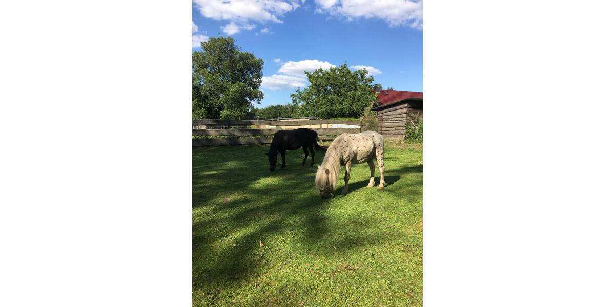 Dachgeschoßwohnung Wriezen - 3 Zimmer, 75 m&sup2;, 470&euro; | Angebot:25135574