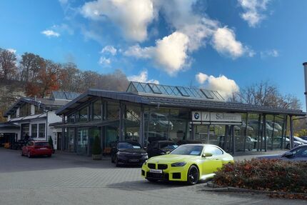 BMW iX 24.980 km 62.990 &euro; Altenmarkt a.d. Alz 83352
