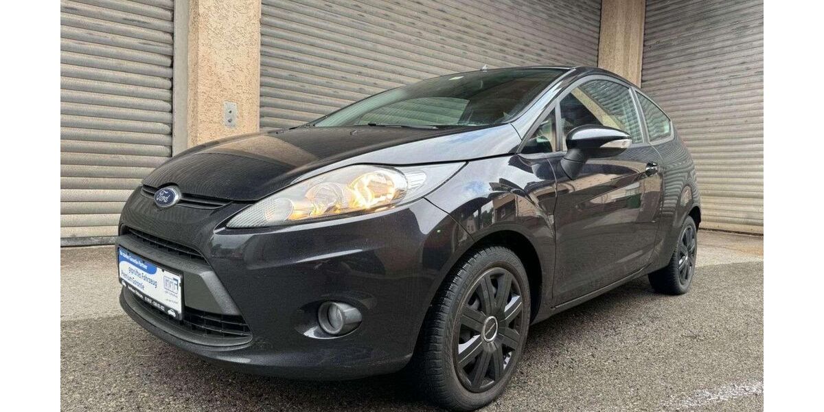 Ford Fiesta 118.500 km 5.495 &euro; Altensteig 72213