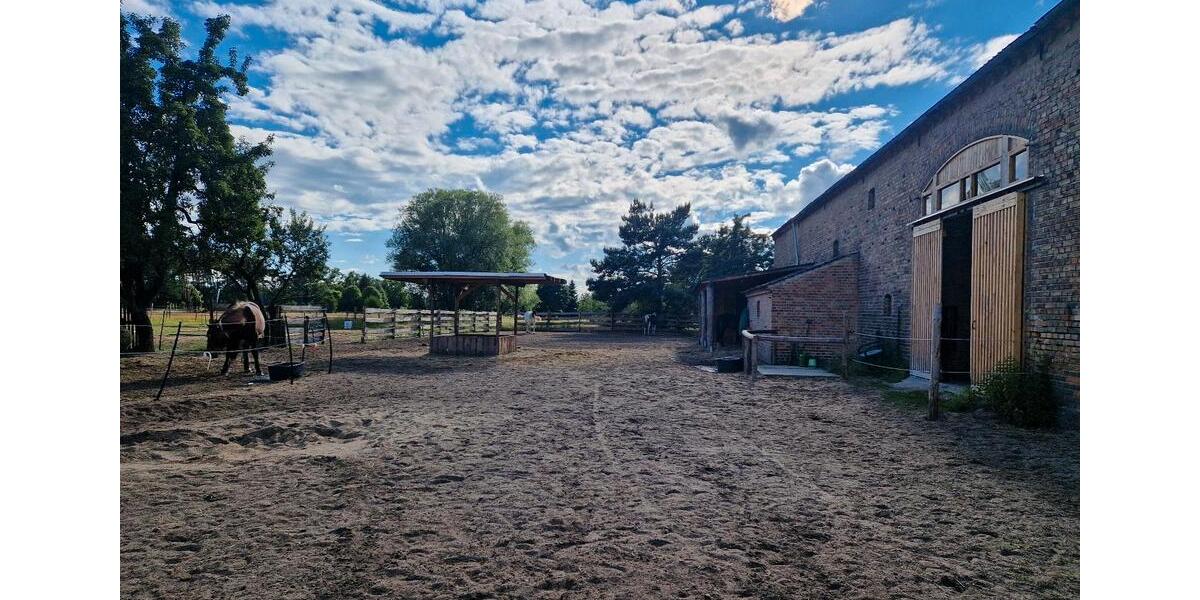 Bauernhaus, Landhaus Zerbst (Anhalt) Leps - 7 Zimmer, 190 m&sup2;, 350.000&euro; | Angebot:26929633
