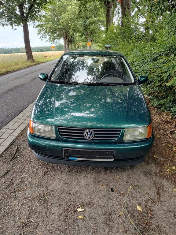 Polo