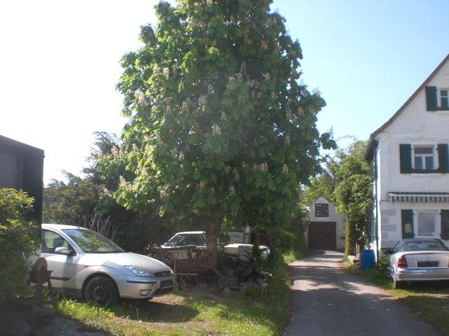 Bauernhaus, Landhaus Dentlein am Forst - 9 Zimmer, 200 m&sup2;, 285.000&euro; | Angebot:26837439