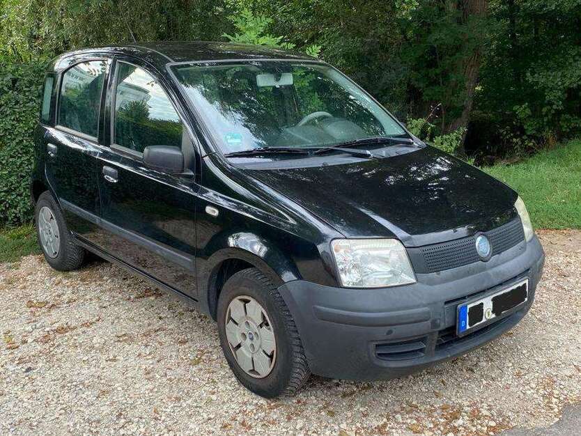 Panda