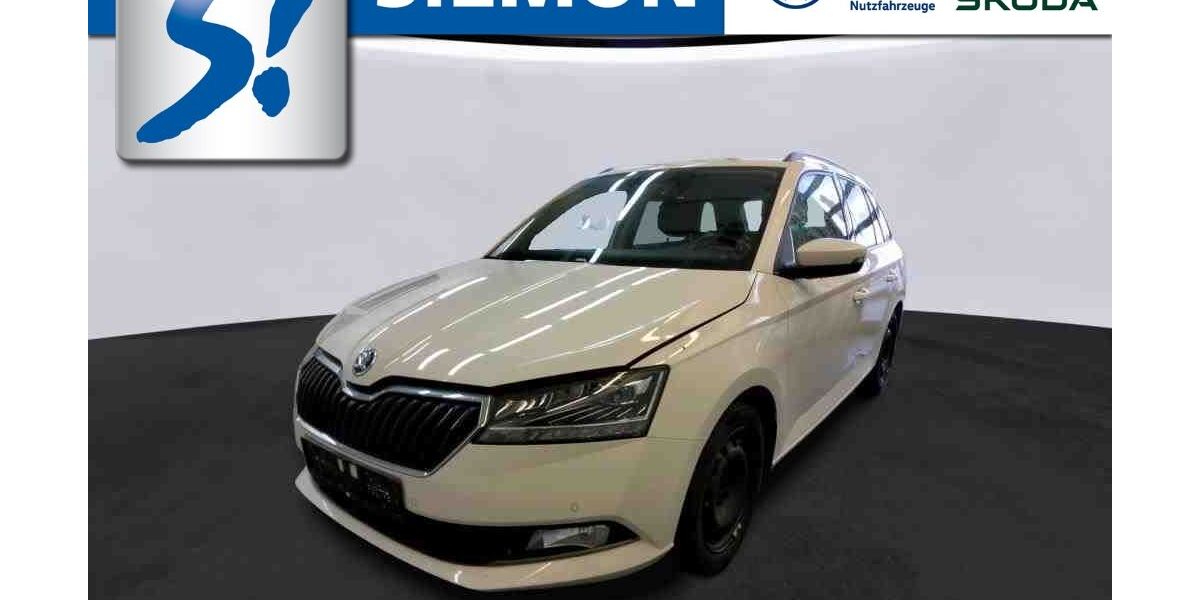 Skoda Fabia 59.142 km 16.930 &euro; Münster 48153