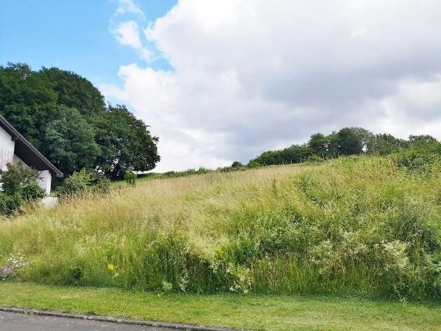 Grundstück zu verkaufen in Balesfeld 25.000 € 521 m²