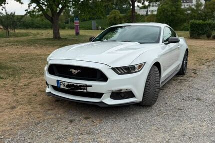 Ford Mustang 133.000 km 17.500 &euro; Immenstaad am Bodensee 88090