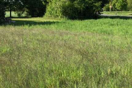 Grundstück Rödental - 44.900&euro; | Angebot:10296528