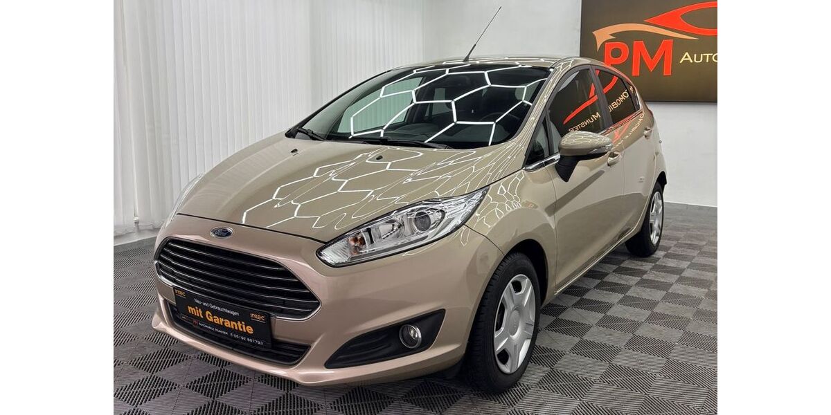 Ford Fiesta 98.000 km 8.400 &euro; Munster 29633