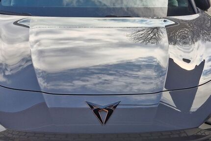 Cupra Terramar 11.500 km 40.450 &euro; Schaufling 94571