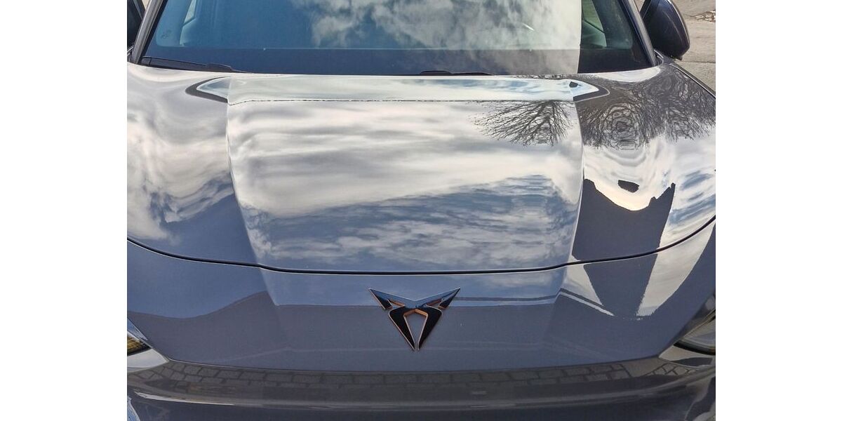 Cupra Terramar 8.900 km 41.400 &euro; Schaufling 94571