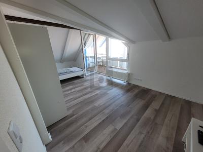 MODERN SANIERT MIT GEMÜTLICHEM KAMINOFEN - Etagenwohnung Offenburg Elgersweier | Angebot:26852745