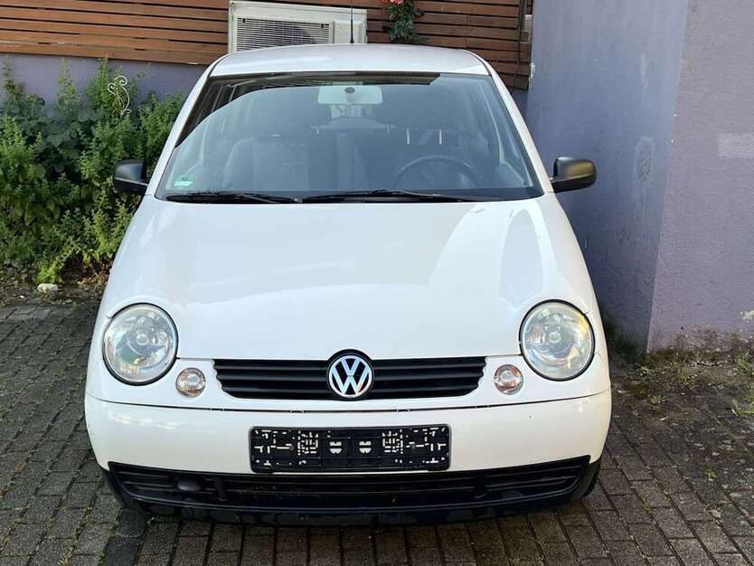 Lupo