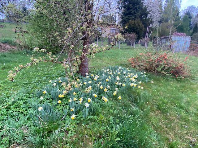 Mehrfamilienhaus, Wohnhaus Lößnitz - 1 Zimmer, 208 m&sup2;, 85.000&euro; | Angebot:22703616