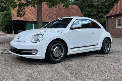 VW Beetle 80.000 km 11.800 € Billerbeck 48727