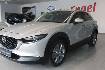 Mazda CX-30 35.553 km 23.890 &euro; Halberstadt 38820