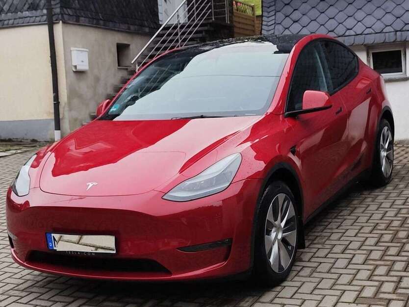 Model Y
