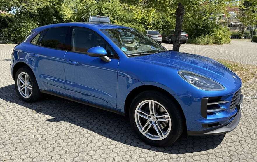 Macan