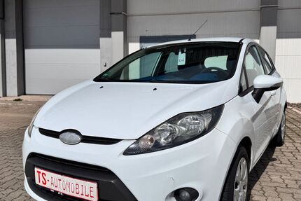 Ford Fiesta 197.000 km 2.490 &euro; Salzgitter 38229