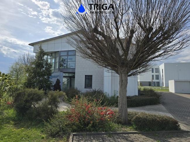 Gewerbeobjekt Nordhausen - 3.000&euro; | Angebot:26326449