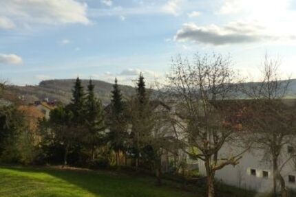 1-Zimmer-Appartement mit fantastischem Ausblick in 97708 Bad Bocklet bei Bad Kissingen (ID 764) - Wohnung Bad Bocklet Bad Bocklet | Angebot:26606666