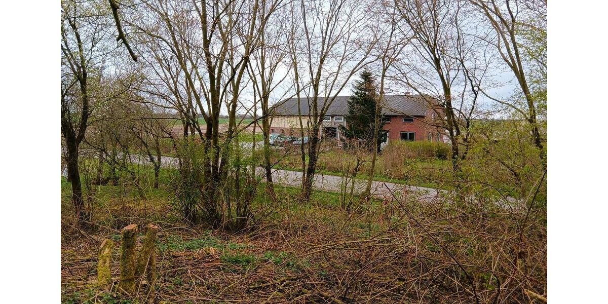 Bauernhaus, Landhaus Klanxbüll - 5 Zimmer, 140 m&sup2;, 355.000&euro; | Angebot:26807182