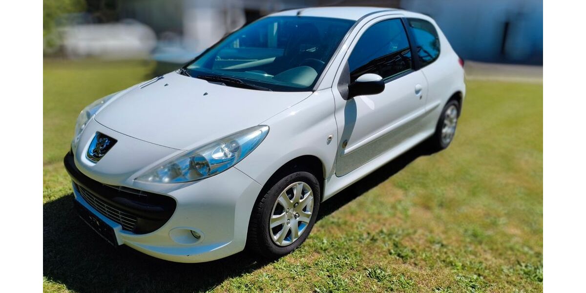Peugeot 206 80.603 km 2.500 &euro; Schönenberg-Kübelberg 66901