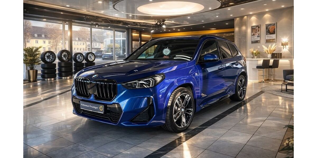 BMW X1 19.990 km 45.850 &euro; Glauchau 08371