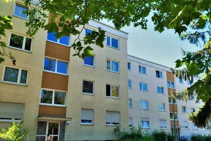Wohnung Frankenthal (Pfalz) Frankenthal Kernstadt - 3 Zimmer, 71 m&sup2;, 749&euro; | Angebot:26688246