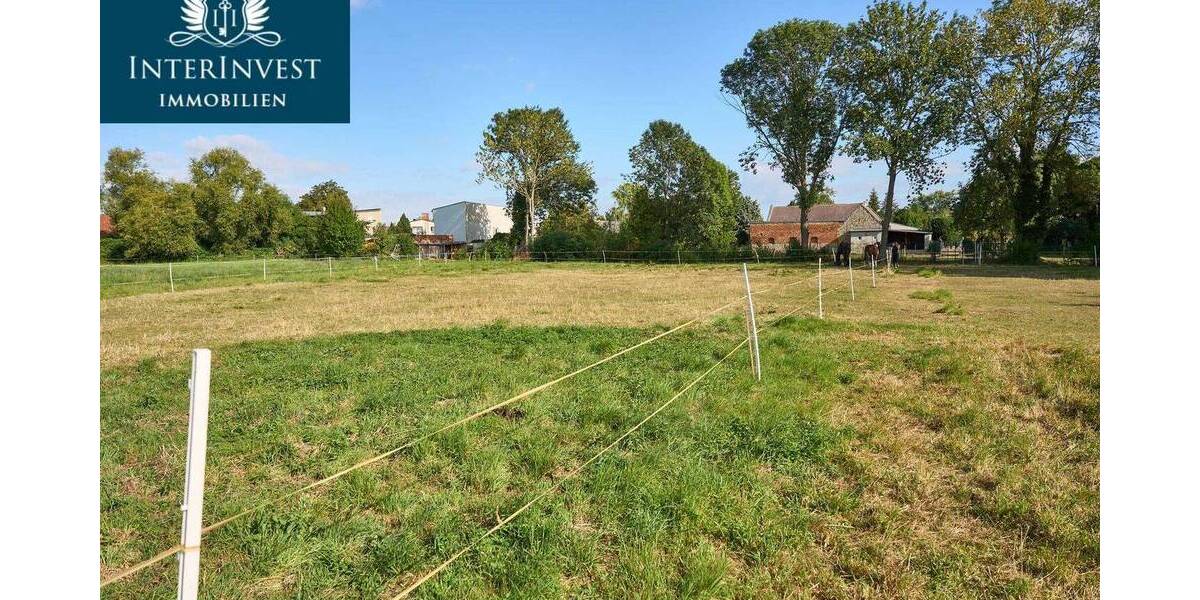 Bauernhaus, Landhaus Bördeland Zens - 5 Zimmer, 220 m&sup2;, 440.000&euro; | Angebot:26016044
