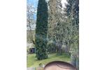 Bungalow Königsee - 1 Zimmer, 25 m&sup2;, 40.000&euro; | Angebot:26717550