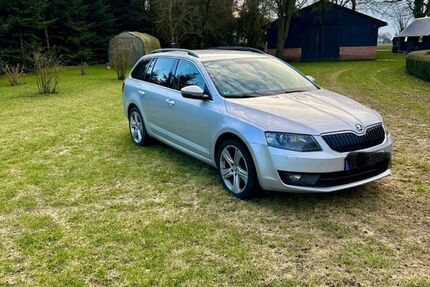 Skoda Octavia 233.800 km 7.999 &euro; Wildeshausen 27793