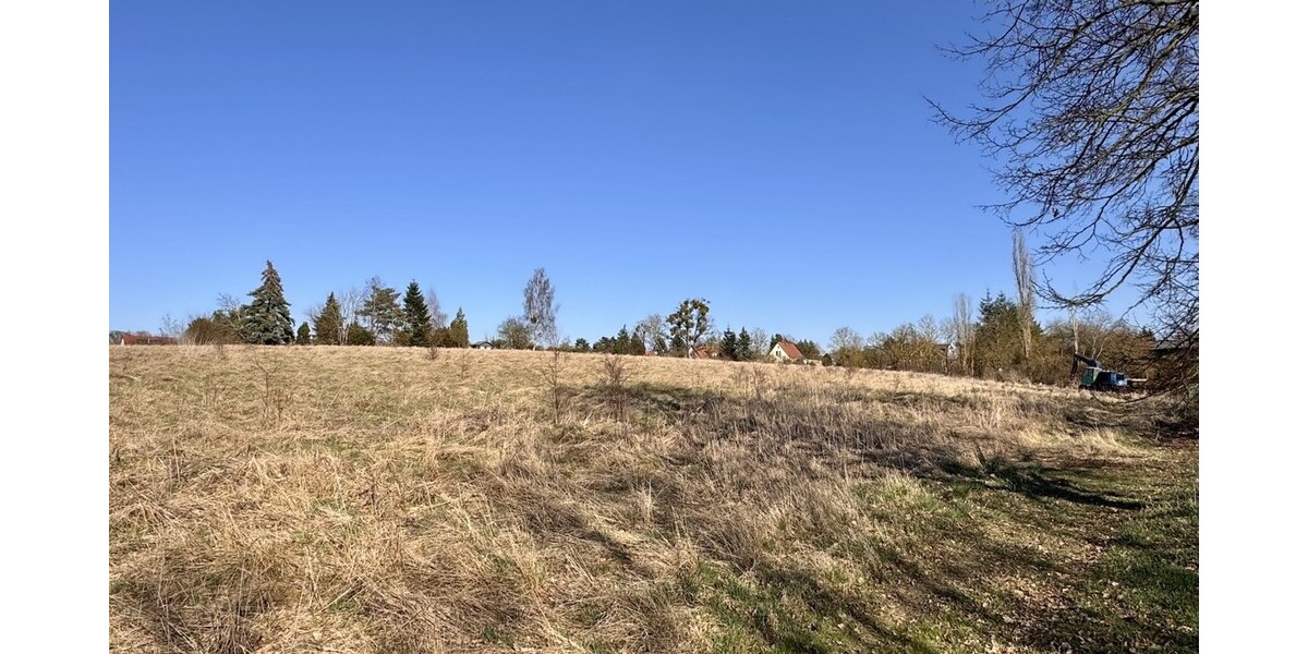 HORN IMMOBILIEN++ Baugrundstücke in Brüssow - Grundstück Brüssow | Angebot:26932035