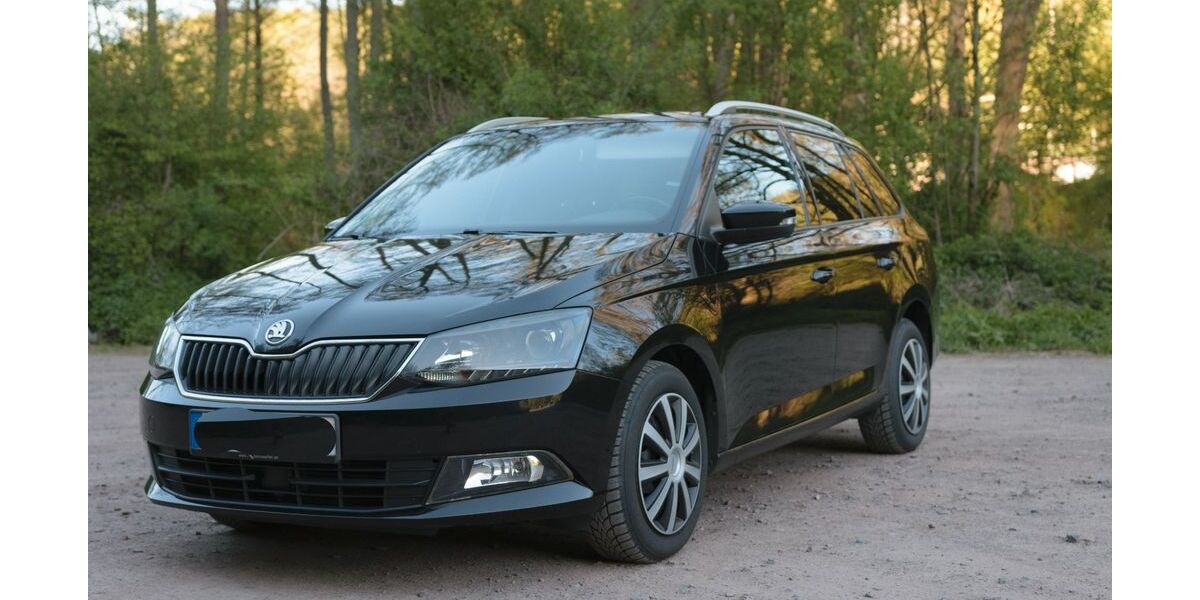 Skoda Fabia 124.000 km 8.800 &euro; Thaleischweiler-Fröschen 66987