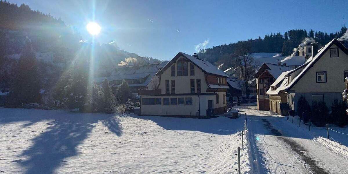 Gewerbeobjekt Bad Rippoldsau-Schapbach Schapbach - 500.000&euro; | Angebot:26230994