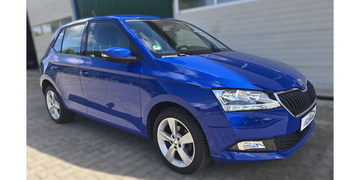 Skoda Fabia 67.500 km 9.400 &euro; Hörstel 48477