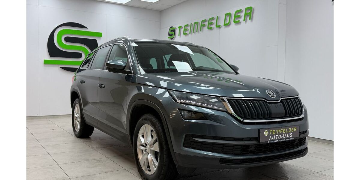 Skoda Kodiaq 276.040 km 16.490 &euro; Steinfeld 49439