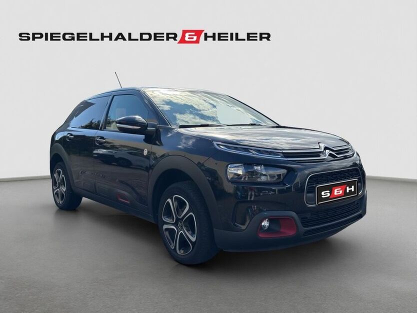 C4 Cactus
