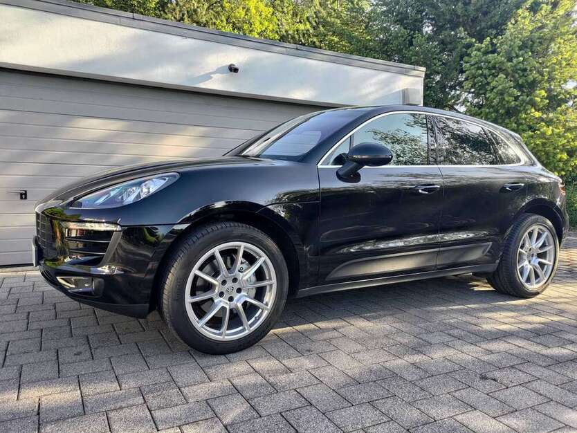 Macan