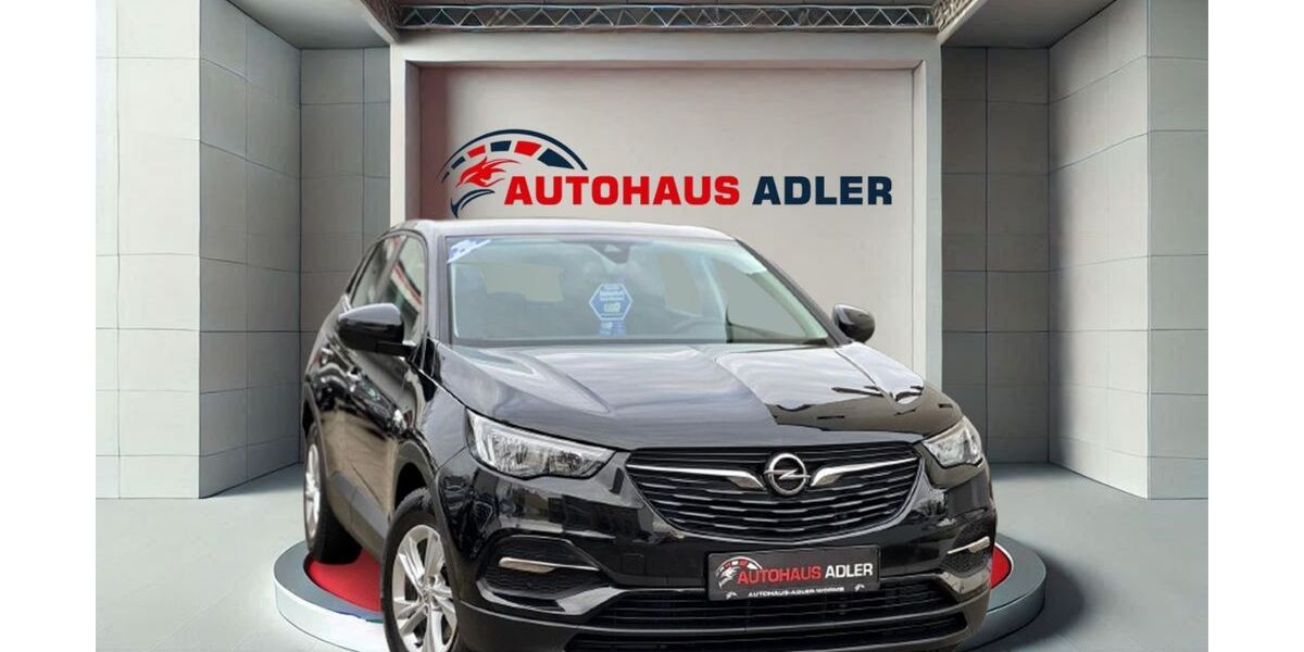 Opel Grandland (X) 119.900 km 11.990 &euro; Worms 67549