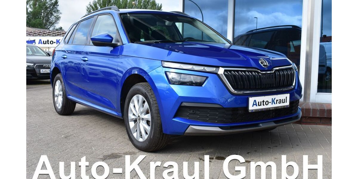 Skoda Kamiq 65.872 km 19.749 &euro; Rehna 19217