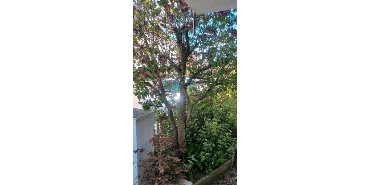 Etagenwohnung Hof Neuhof - 3 Zimmer, 75 m&sup2;, 610&euro; | Angebot:26340105