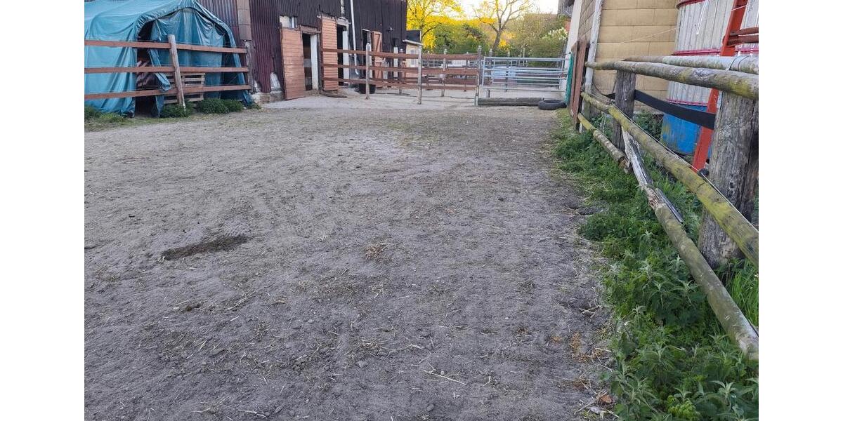 Bauernhaus, Landhaus Königslutter am Elm - 5.5 Zimmer, 180 m&sup2;, 1.800&euro; | Angebot:26409735