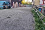 Bauernhaus, Landhaus Königslutter am Elm - 5.5 Zimmer, 180 m&sup2;, 1.800&euro; | Angebot:26409735