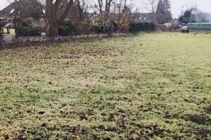 Grundstück Reeßum-Taaken Taaken - 185.000&euro; | Angebot:25336731