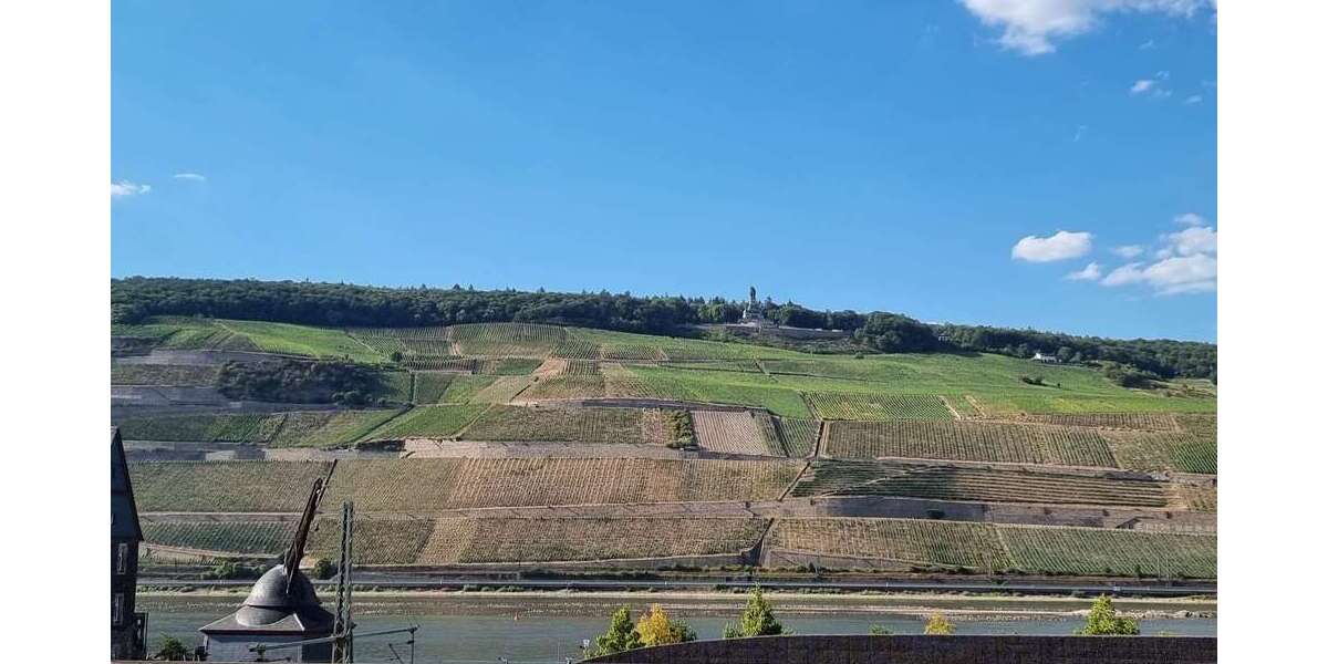 Gewerbeobjekt Bingen Bingerbrück - 528.000&euro; | Angebot:27196444