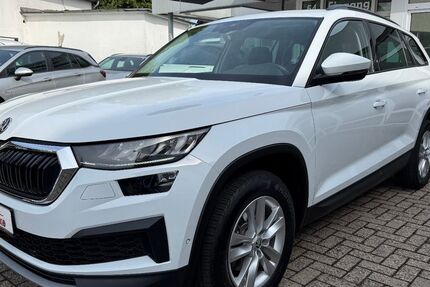 Skoda Kodiaq 190.780 km 20.890 &euro; Cloppenburg 49661